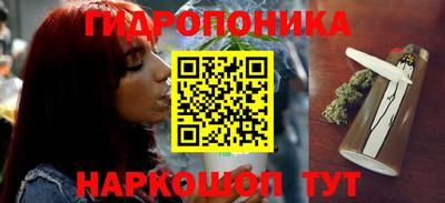 индика Бузулук