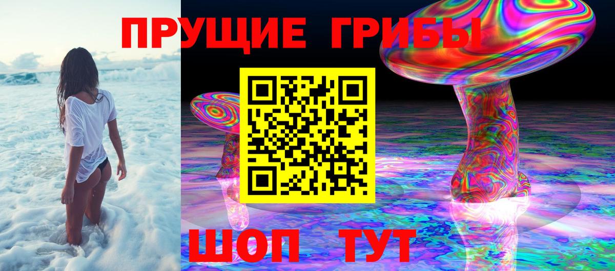 Назарово  Галлюциногенные грибы мицелий  Вход с VPN 